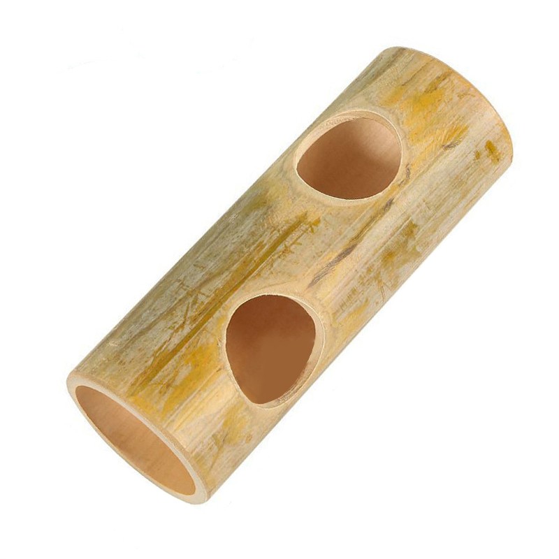 test-二孔竹石（Two-hole Bamboo Stone）