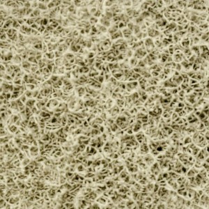 test-吸氨的媒體墊（Ammonia Remove Infused Media Pad）
