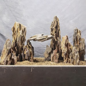 test-多孔石（Perforated Stone）