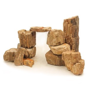 test-木化石（Wooden Fossil Stone）