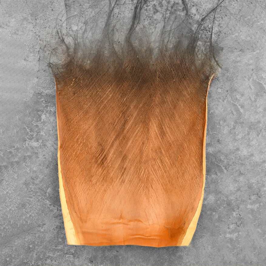 test-棕片（Natural Palm Fiber）
