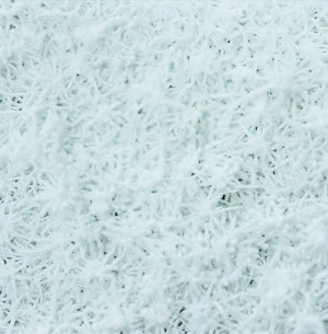 test-白色聚纖維媒體墊（White Poly Fiber Media Pad）