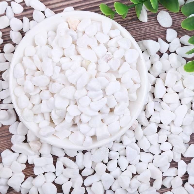 石英生化砂Quartz Bio-Chemical Sand