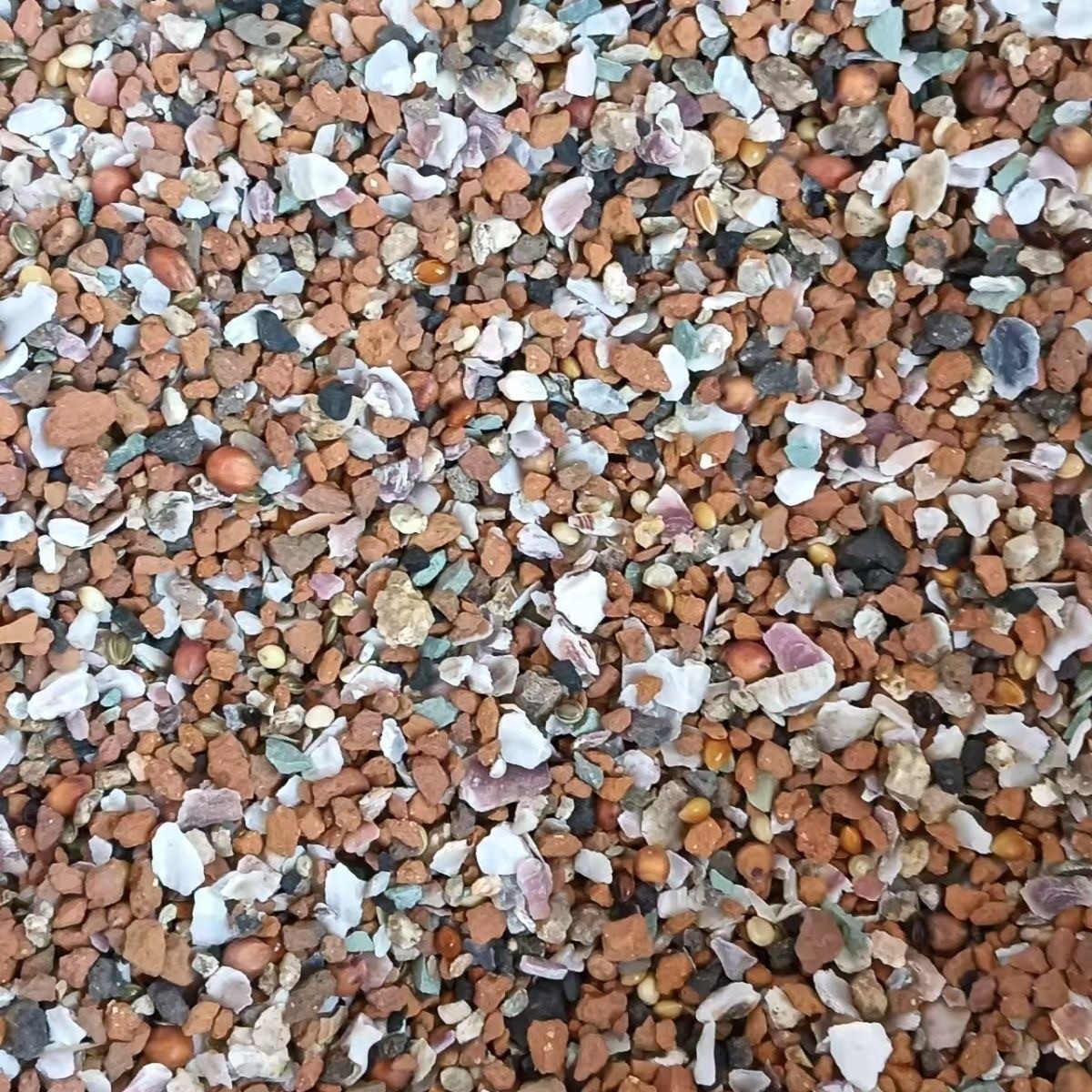 桔红石米 Orange Red Gravel